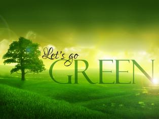 $Lets Go Green Driving School